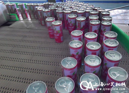 模塊網(wǎng)帶鏈輸送機